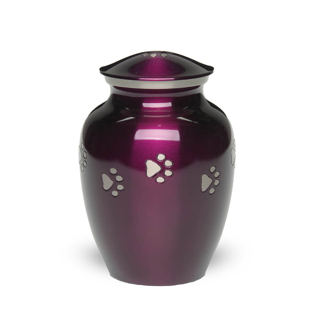 IMPERFECT SELECTION - MEDIUM Brass Pet Urn - "Forever Paw"