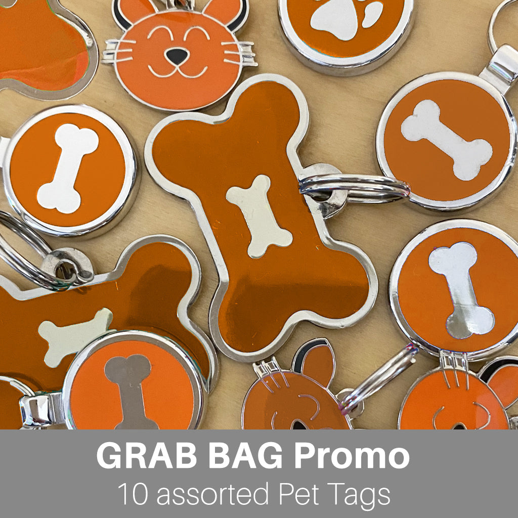 CLEARANCE - GRAB BAG Pet Tags ORANGE
