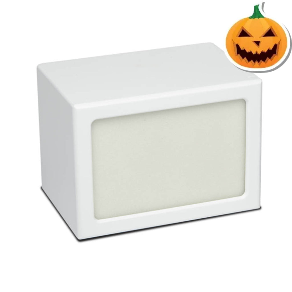 LARGE Photo Frame urn -PY06- Blank (Add your picture) White