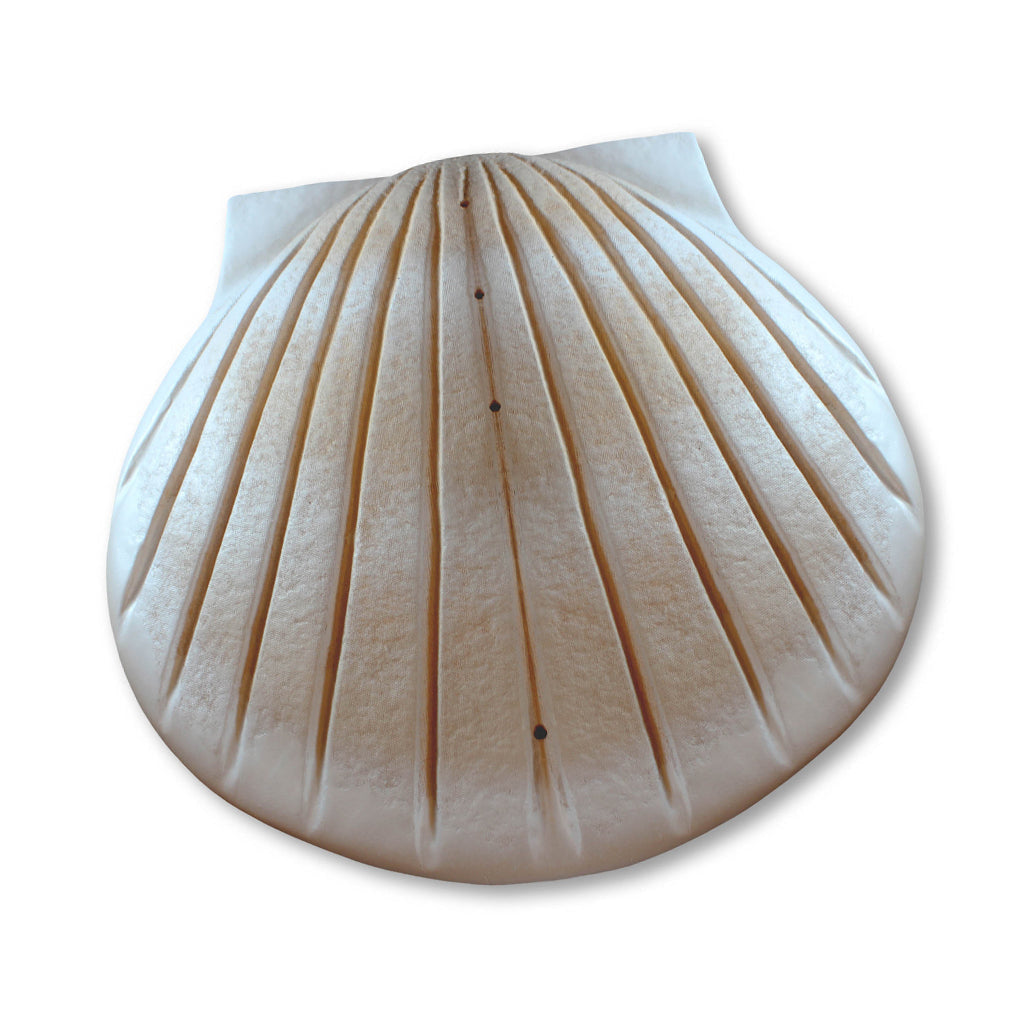 COMPANION The Shell Urn Pearl