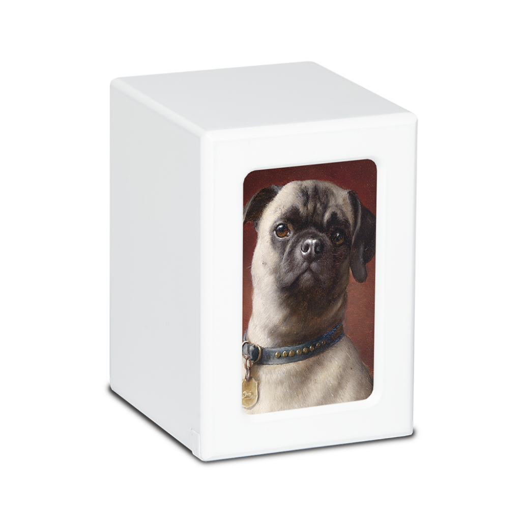 MEDIUM PY06 -White- Pug