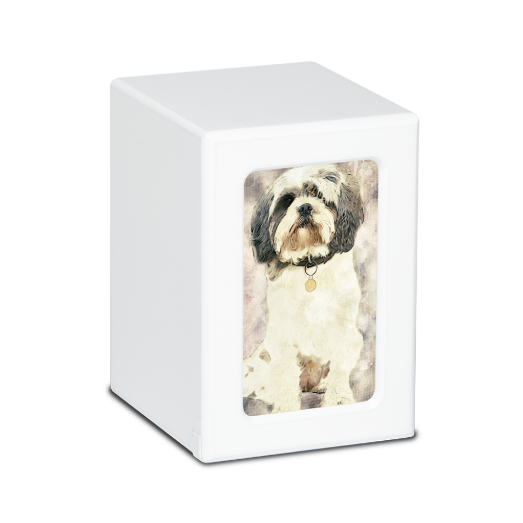 MEDIUM PY06 -White- Shih Tzu