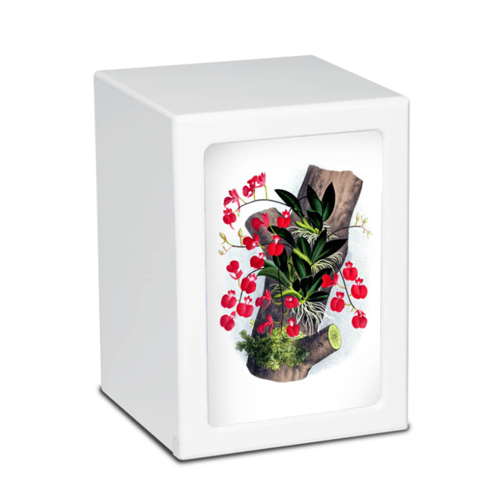 EXTRA LARGE Photo Frame urn PY06 - Cherry - Red Orchids on Tree Branch White