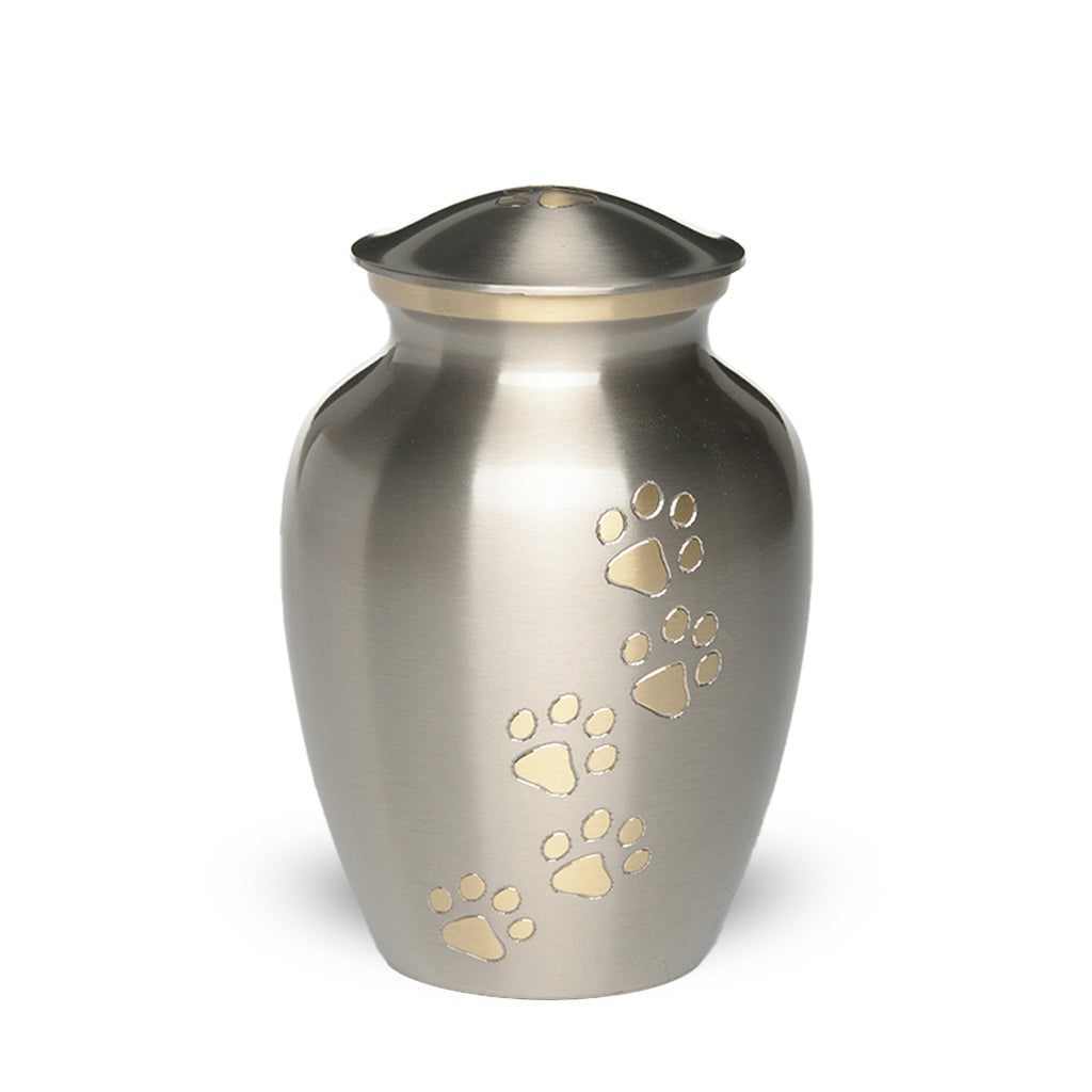 MEDIUM Brass Pet Urn -"Paws to Heaven" Pewter-Gold