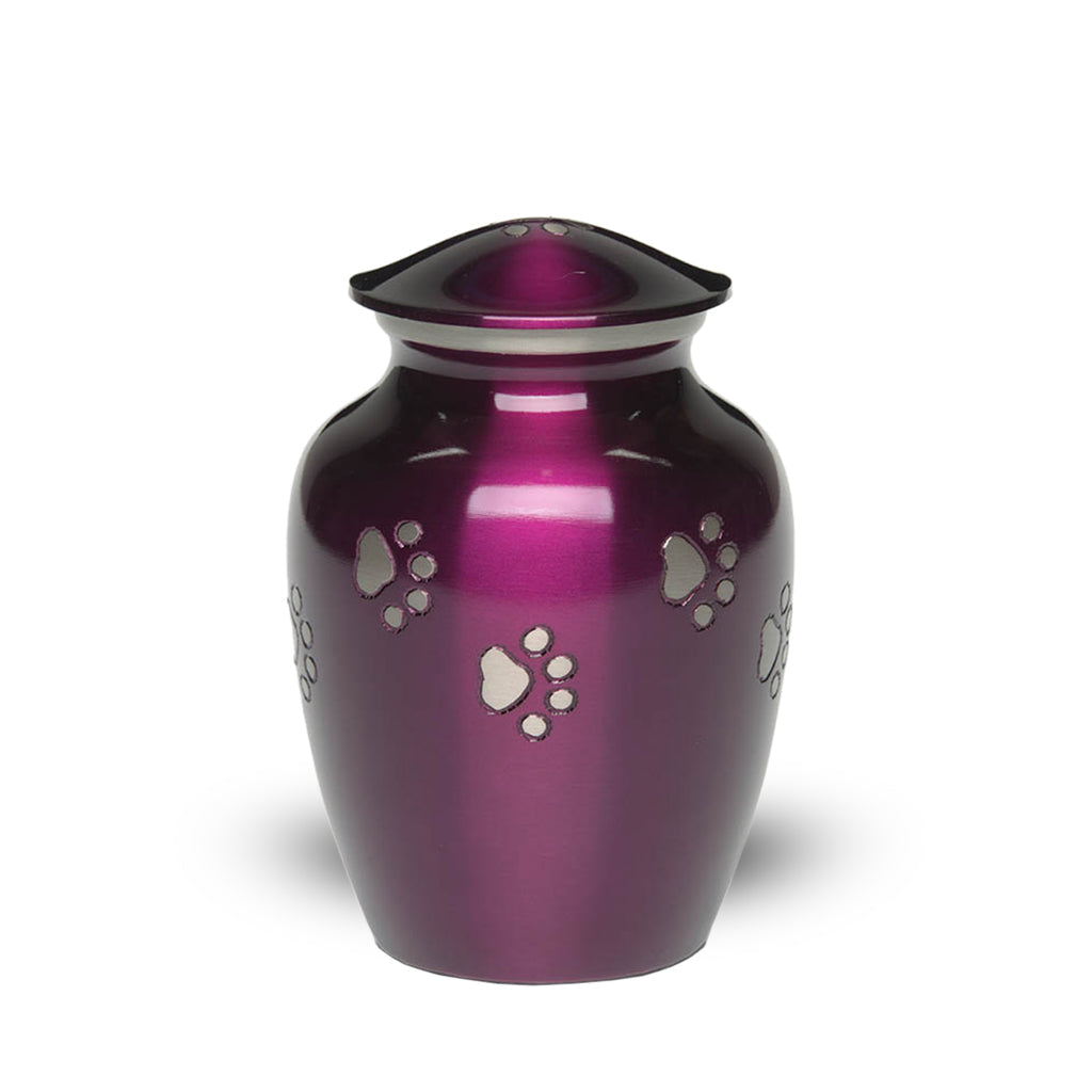 SMALL Brass Pet Urn - "Forever Paw"