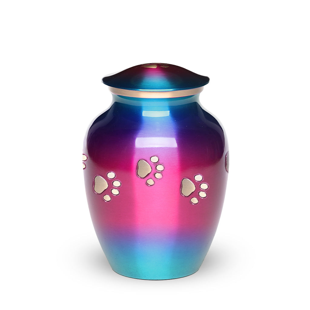 SMALL Brass Pet Urn - "Forever Paw" Rainbow Pink