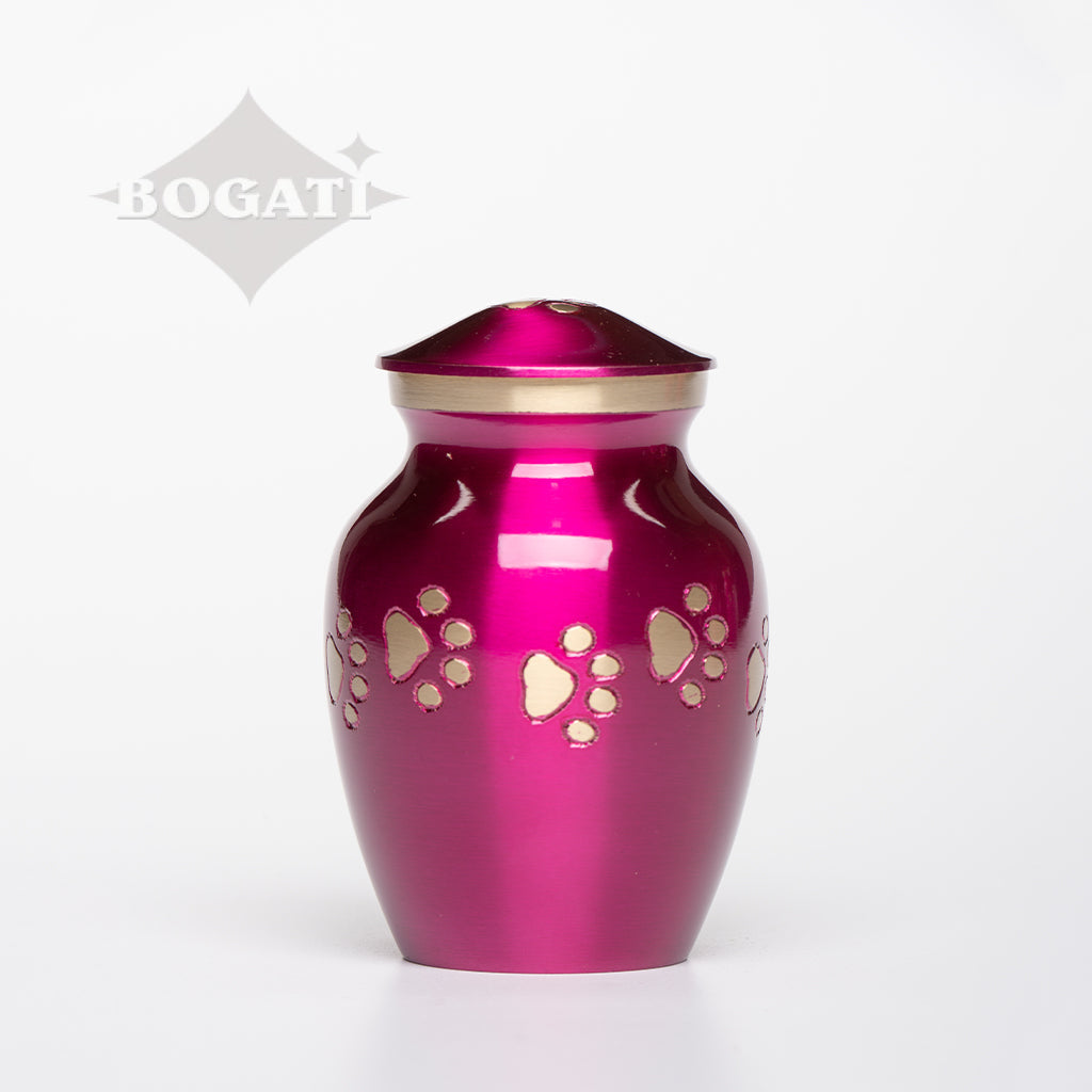 EXTRA SMALL Brass Pet Urn - "Forever Paw"