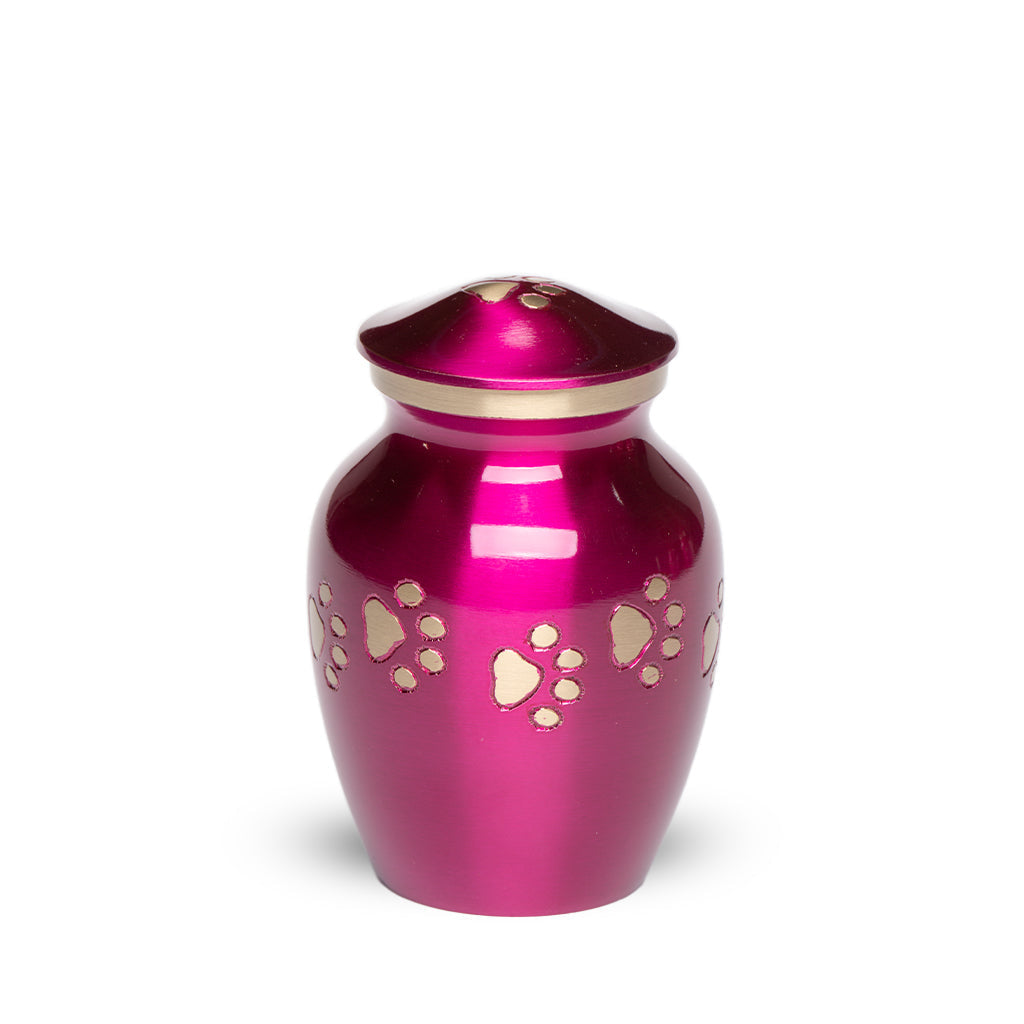 EXTRA SMALL Brass Pet Urn - "Forever Paw" Magenta-Gold