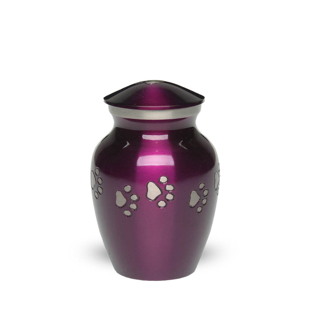 EXTRA SMALL Brass Pet Urn - "Forever Paw"