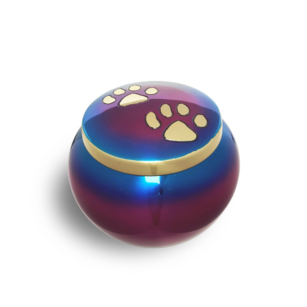 MEDIUM Brass "Journey" Pet urn - 2011- ColorWay Rainbow