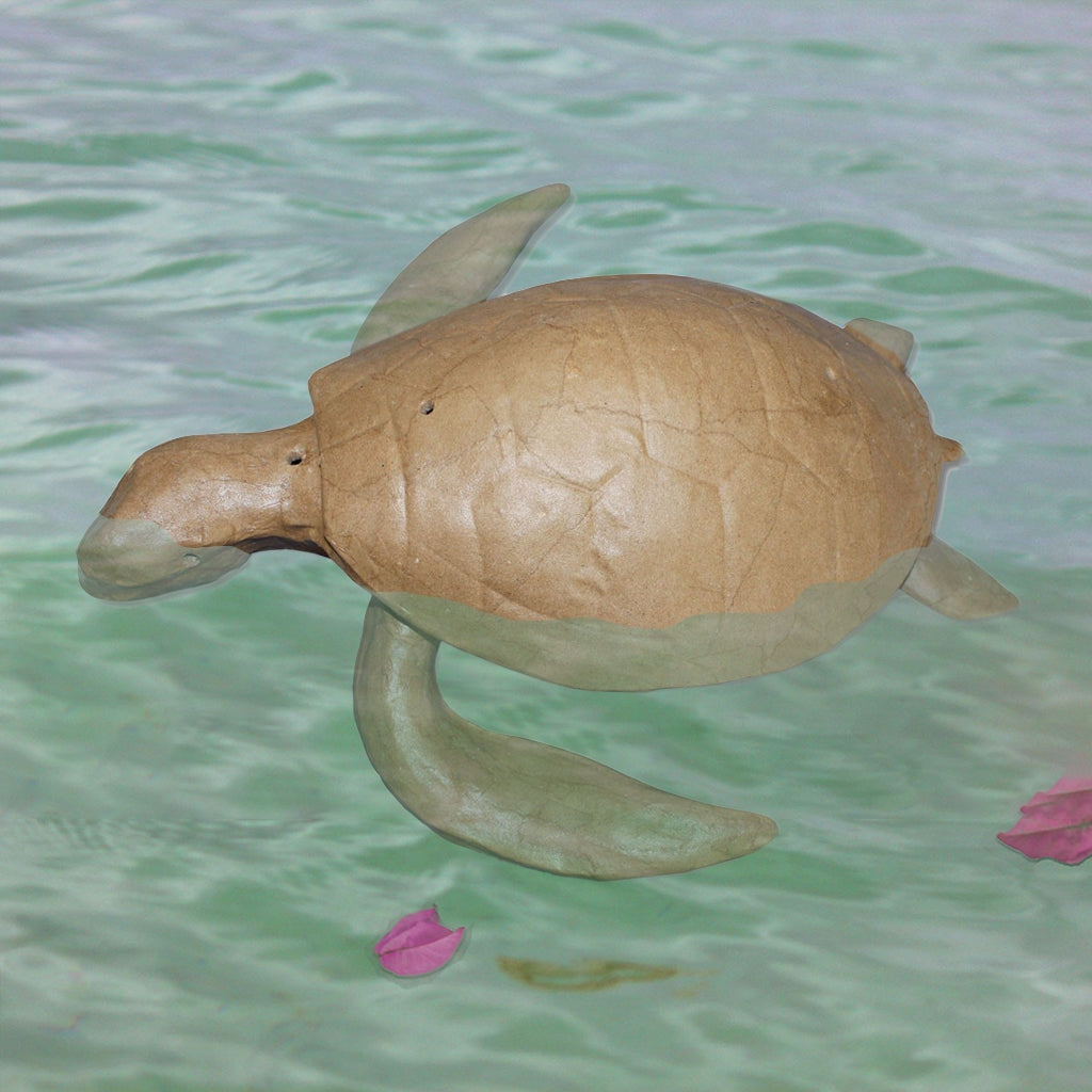 ADULT Turtle Urn - Natural