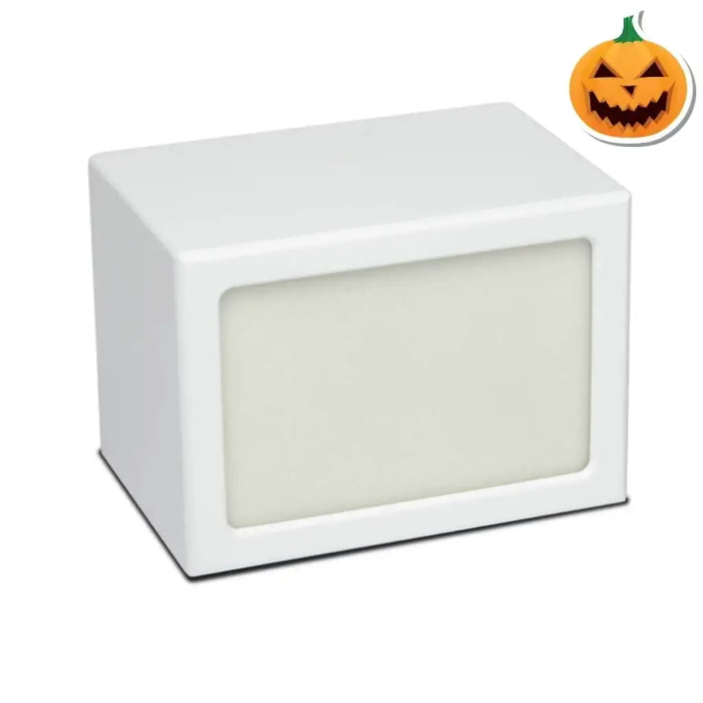 LARGE Photo Frame urn -PY06- Blank (Add your picture) White