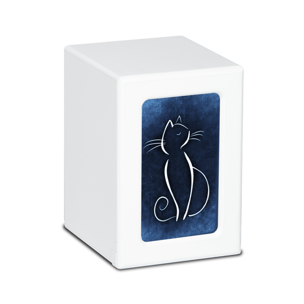 MEDIUM PY06 -White- White Cat / Colorful Backgrounds Blue